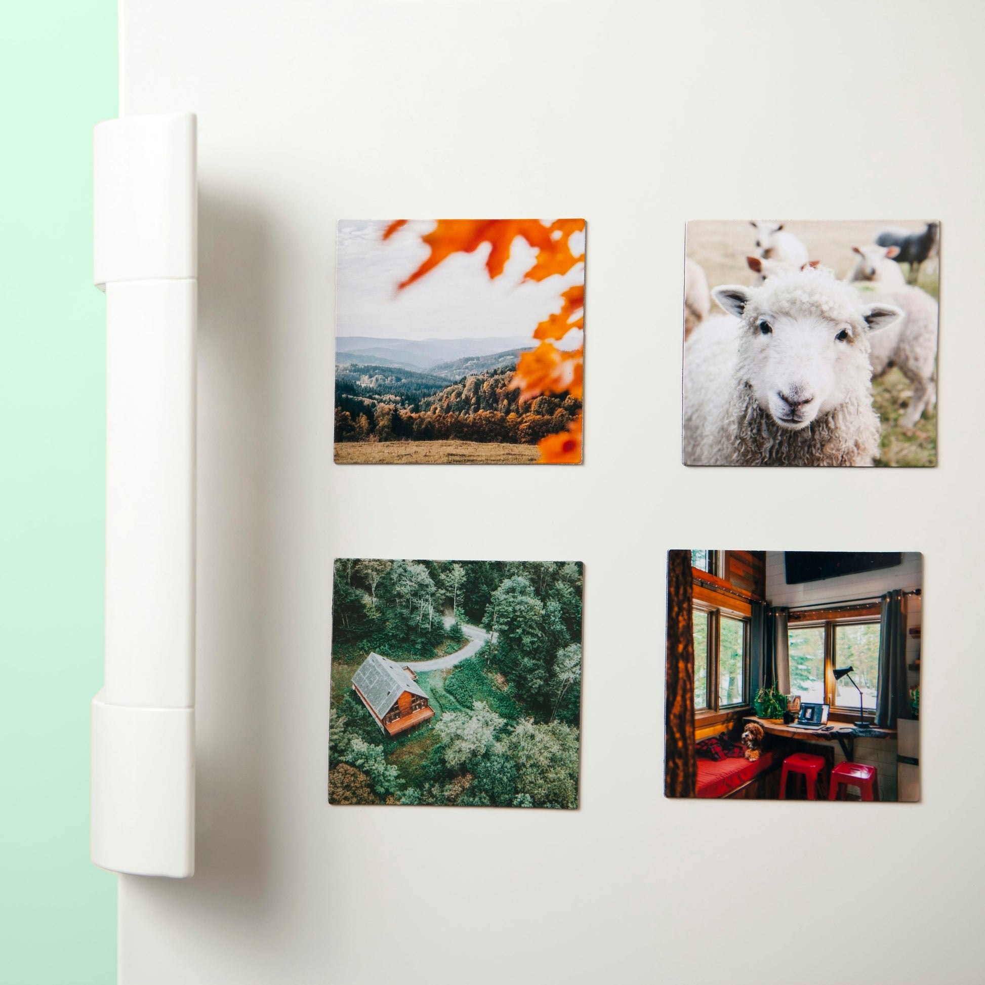 Magnet mit Logo – Next Layer CH B2B